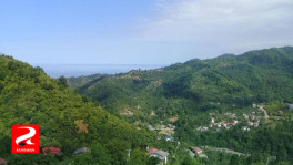 استل‌کنار