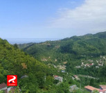 استل‌کنار