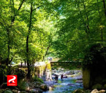رودخانه صفارود