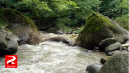 ترک رود