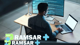 بهترین طراح سایت رامسر