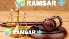 بهترین وکیل رامسر