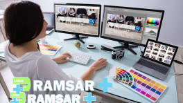 بهترین طراح سایت رامسر