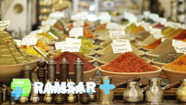 عطاری رامسر