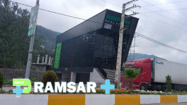 املاک پرفکت هوم