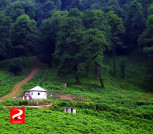 جنگل دالخانی